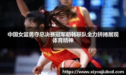 三亿体育